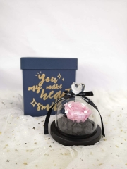 Preserved Eternal Roses in Glass Dome Handmade Dried Real Flower Gift W/Box for Valentine's Day Mother’s Day Anniversary Birthday (Pink)