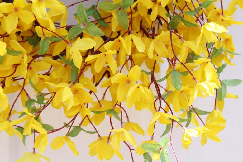 Farmhouse Yellow Flower Garland Grapevine Wreath for Home Wedding Party Wall Window Decor 22 Inches Winter Jasmine Front Door Wreath Takefuns Artificial Forsythia Flower Wreath 